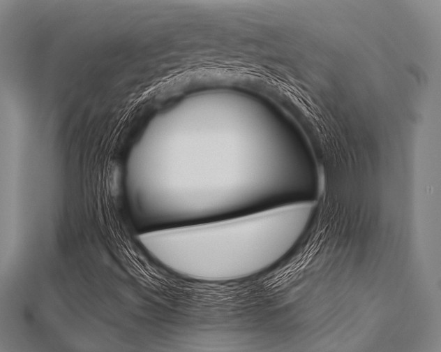 X0000112111492200908041140