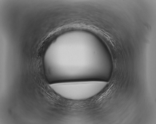 X0000112111494200908041140
