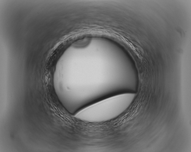 X0000112111495200908041140