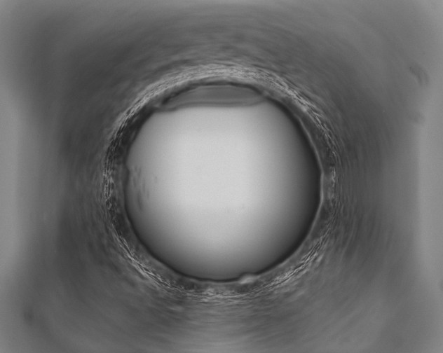 X0000112111496200908041140