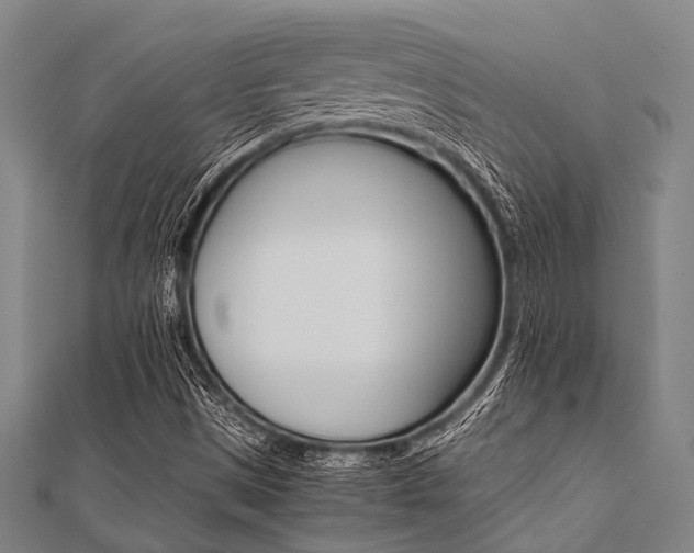 X0000112111497200908041140