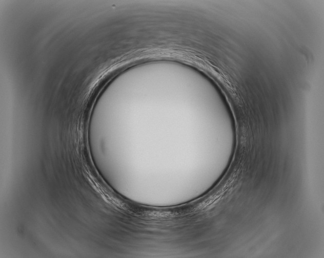 X0000112111499200908041140