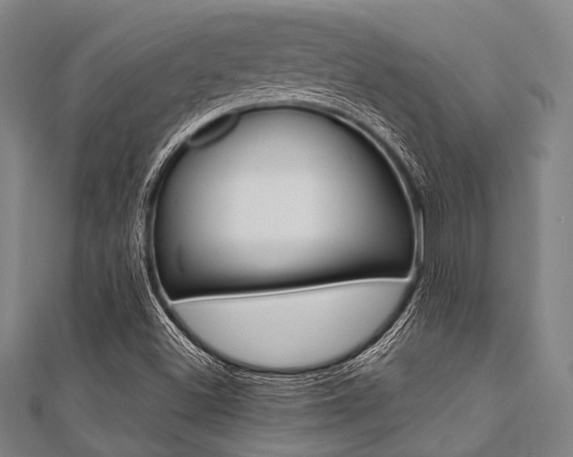 X0000112111500200908041140