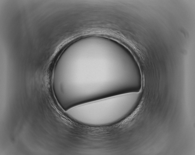X0000112111501200908041140
