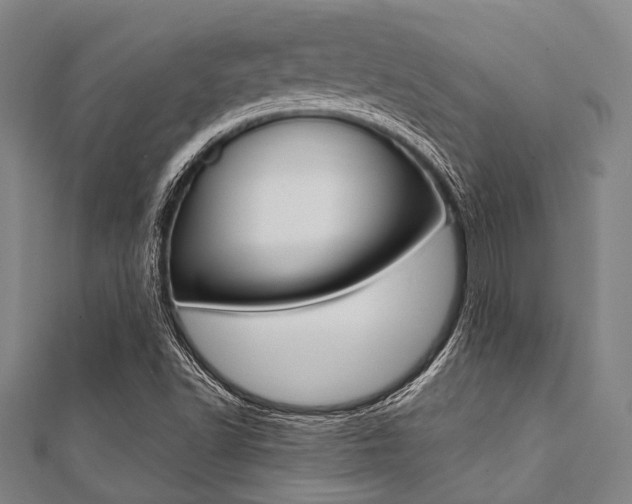 X0000112111502200908041140