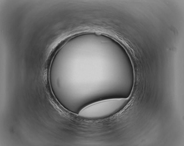X0000112111503200908041140