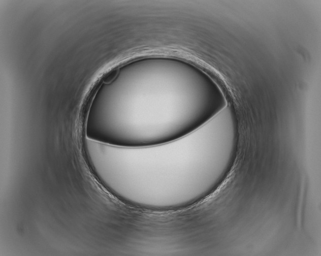 X0000112111506200908041140
