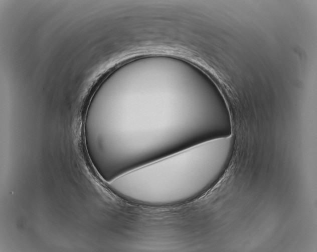 X0000112111507200908041140