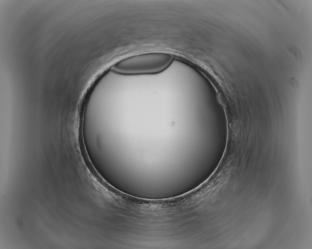 X0000112111508200908041140