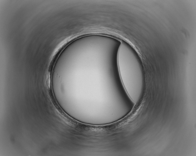 X0000112111509200908041140