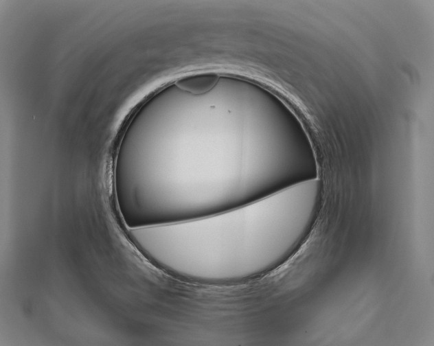 X0000112111510200908041140