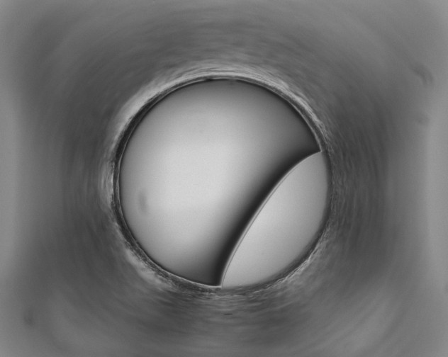 X0000112111511200908041140