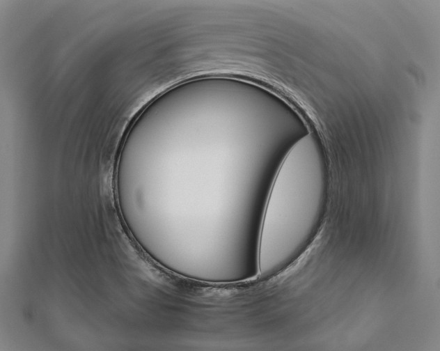 X0000112111513200908041140