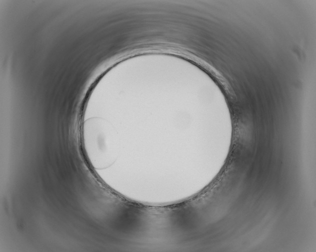 X0000112111514200908041140