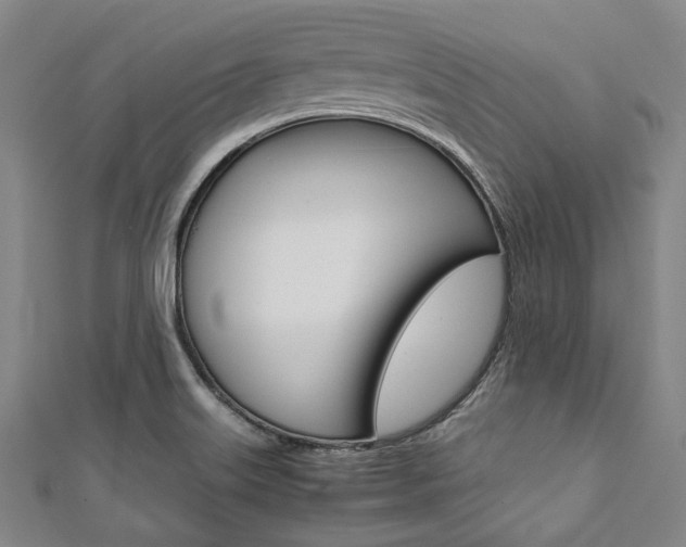 X0000112111515200908041140