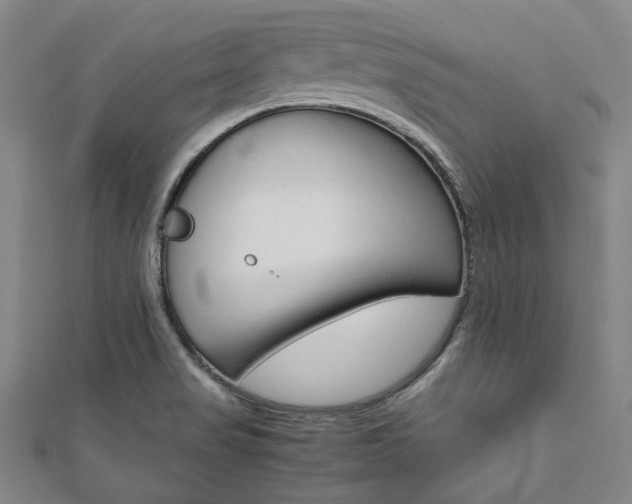 X0000112111517200908041140