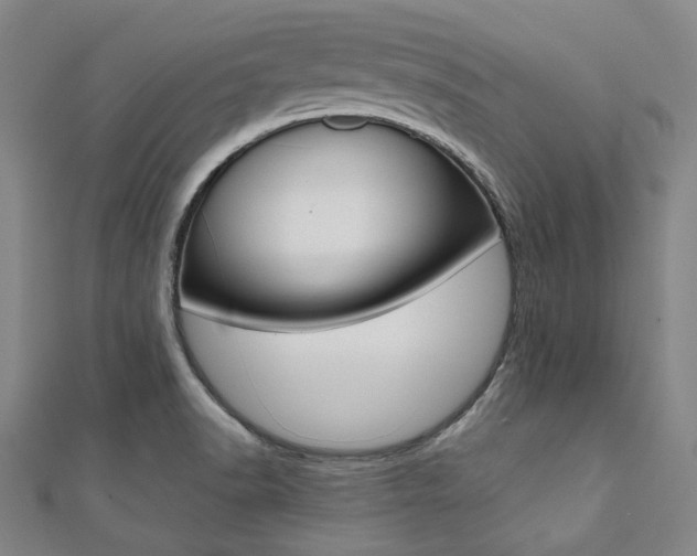 X0000112111518200908041140