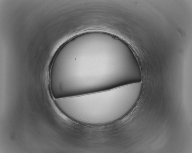 X0000112111519200908041140