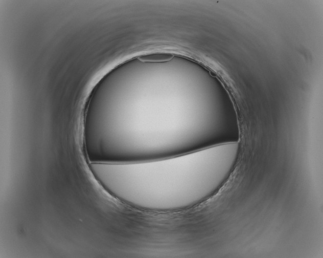 X0000112111520200908041140