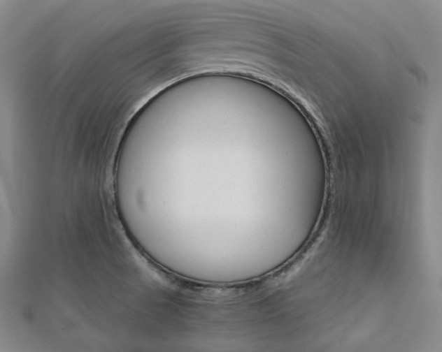 X0000112111521200908041140