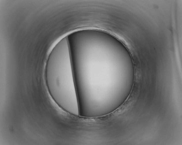 X0000112111524200908041140