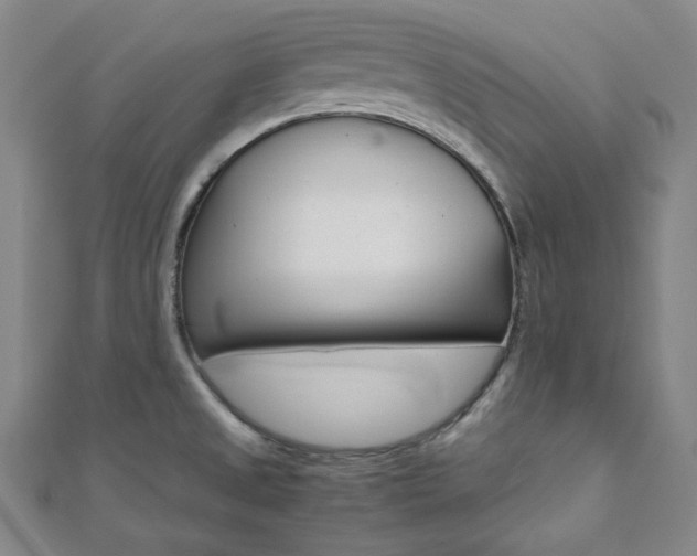 X0000112111525200908041140