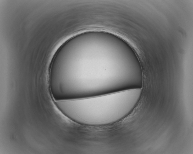 X0000112111527200908041141