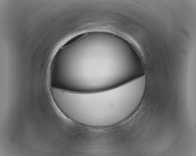 X0000112111528200908041141