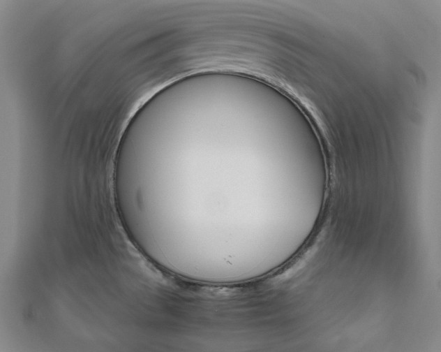 X0000112111529200908041141