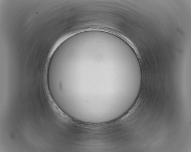 X0000112111530200908041141
