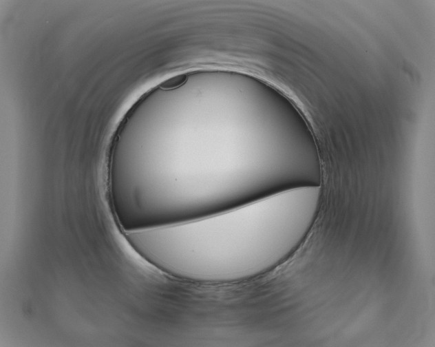 X0000112111531200908041141