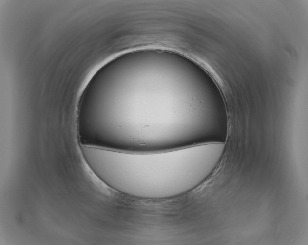 X0000112111532200908041141