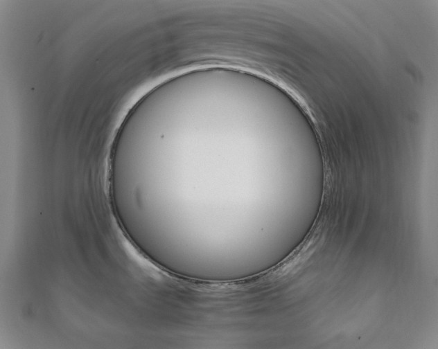 X0000112111535200908041141