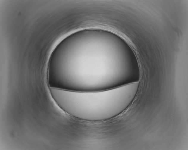 X0000112111536200908041141