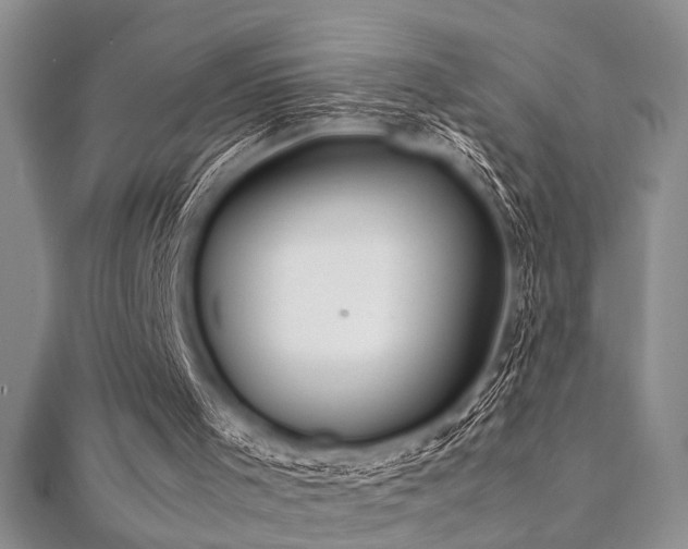 X0000112110001200908041551