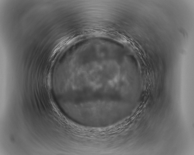 X0000112110002200908041551