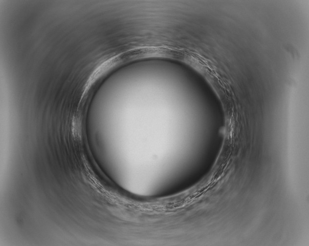 X0000112110004200908041551