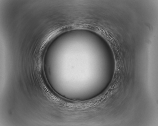 X0000112110005200908041551