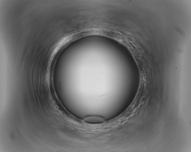 X0000112110006200908041551