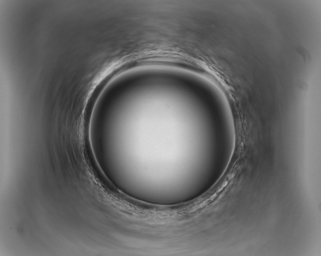 X0000112110008200908041551