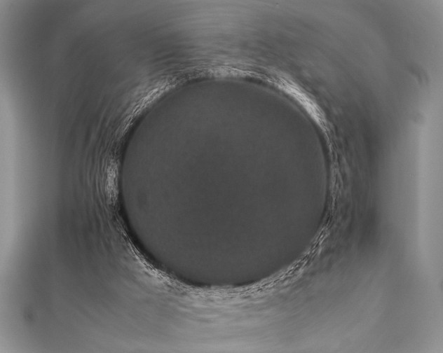 X0000112110009200908041551