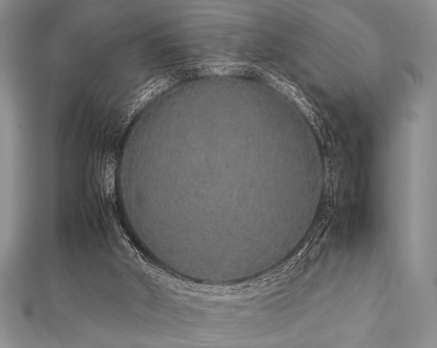 X0000112110010200908041551