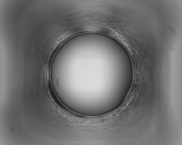 X0000112110011200908041551