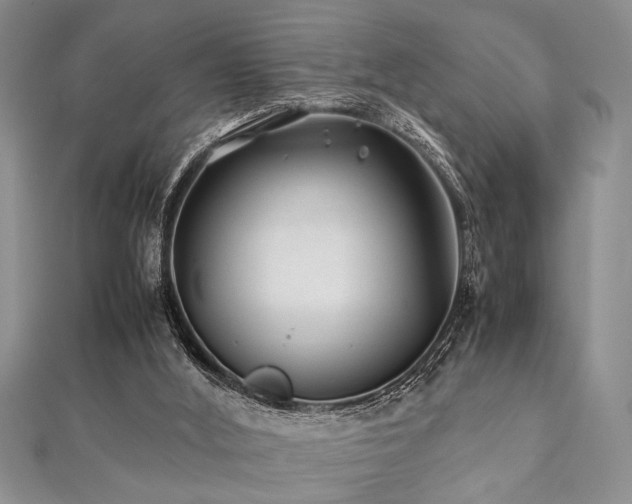 X0000112110012200908041551