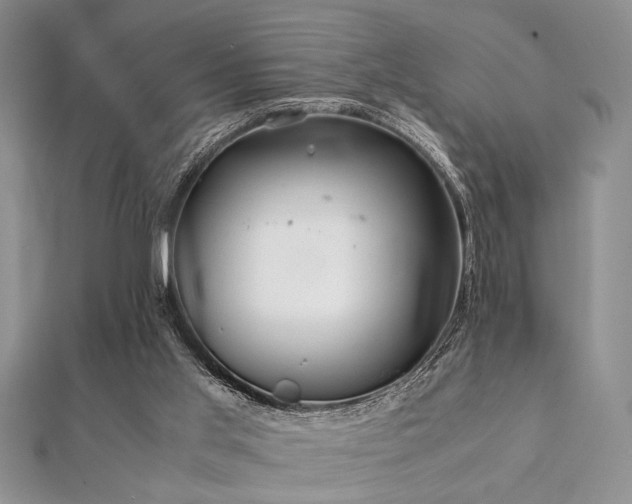 X0000112110013200908041551