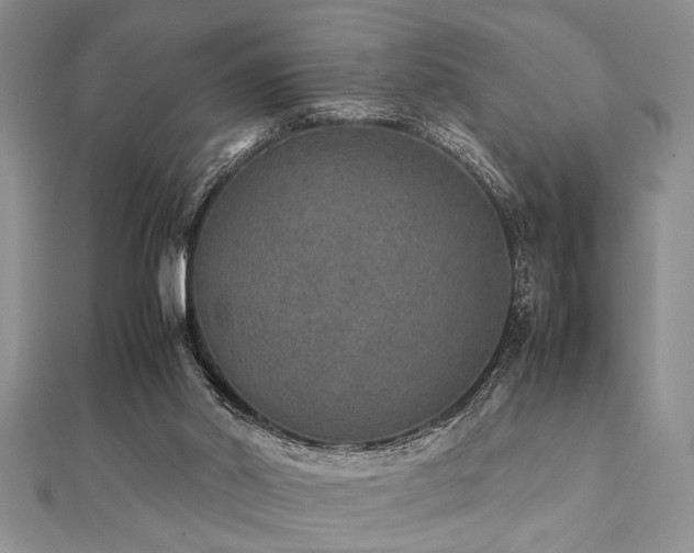 X0000112110014200908041551