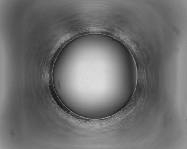 X0000112110015200908041551