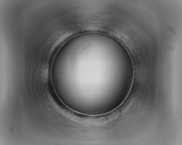 X0000112110016200908041551