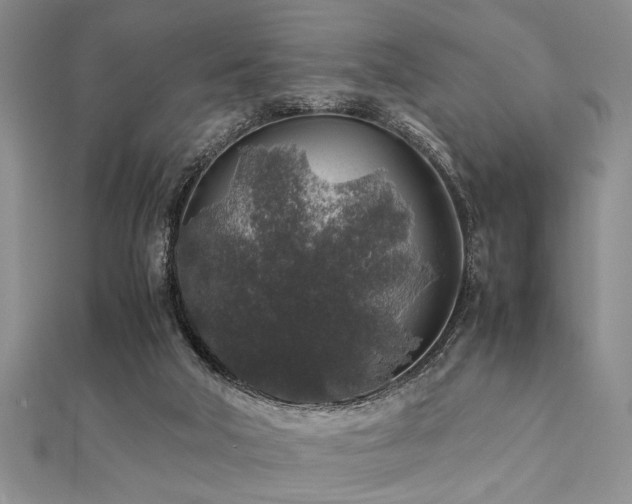 X0000112110018200908041551