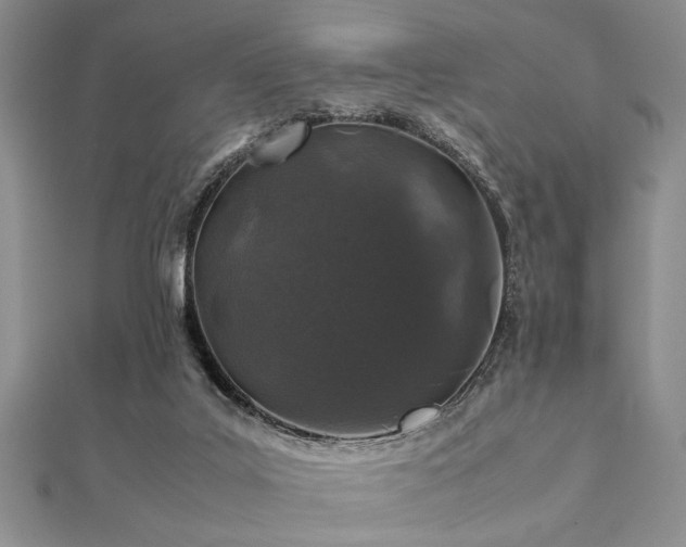 X0000112110019200908041551